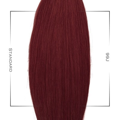 Extensions Farbe 99j